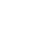 BorgWarner